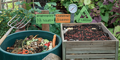 The Complete Checklist for Composting Practices