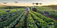 The Complete Checklist for Pest Management in Agriculture